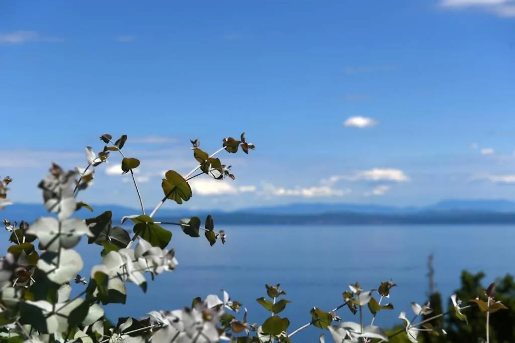 Großes Reihenhaus mit viel Grün und Meerblick Mošćenička Draga